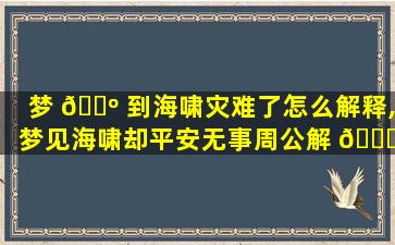 梦 🐺 到海啸灾难了怎么解释,梦见海啸却平安无事周公解 🐟 梦